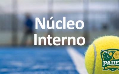 Núcleo Interno de la Pala de Pádel: Clave para un Juego Ganador