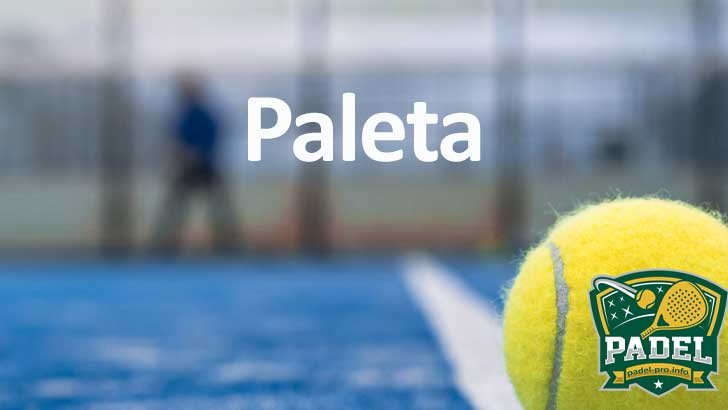 Paleta de Pádel